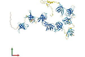 Protein Structure (PS) image for Cold Shock Domain Containing E1, RNA-Binding (CDSE1) (AA 1-798) protein (His tag) (ABIN7564791)