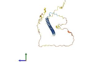 Protein Structure (PS) image for TCF3 (E2A) Fusion Partner (In Childhood Leukemia) (TFPT) (AA 1-253) protein (His tag) (ABIN7544435)