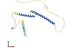 Protein Structure (PS) image for MAX Interactor 1 (MXI1) (AA 1-228) protein (His tag) (ABIN7549655)
