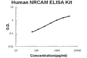 Human NRCAM PicoKine ELISA Kit standard curve