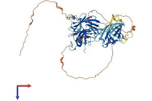 NEURL1B Protein (AA 1-546) (His tag)