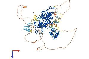 L3MBTL3 Protein (AA 1-883) (His tag)