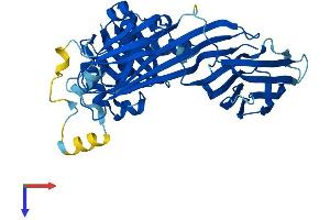 AP3M1 Protein (AA 1-418) (His tag)