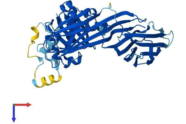 AP3M1 Protein (AA 1-418) (His tag)