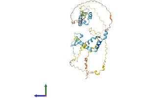 AlphaFold protein structure predicition of Human Recombinant FAM47E Protein, UniprotID Q6ZV65