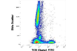 Flow cytometry surface staining pattern of human peripheral whole blood stained using anti-human TCR Cbeta1 (JOVI. (TCR, Cbeta1 Antikörper (FITC))