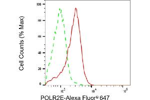 Flow cytometric analysis of POLR2E expression in HAP-1 cells using POLR2E antibody (ABIN7799879), 1:2,000). (POLR2E Antikörper)