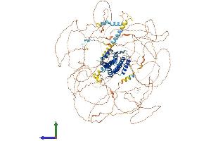 Protein Structure (PS) image for AF4/FMR2 Family, Member 2 (AFF2) (AA 1-1272) protein (His tag) (ABIN7562484)