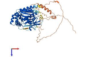 AMZ1 Protein (AA 1-502) (His tag)
