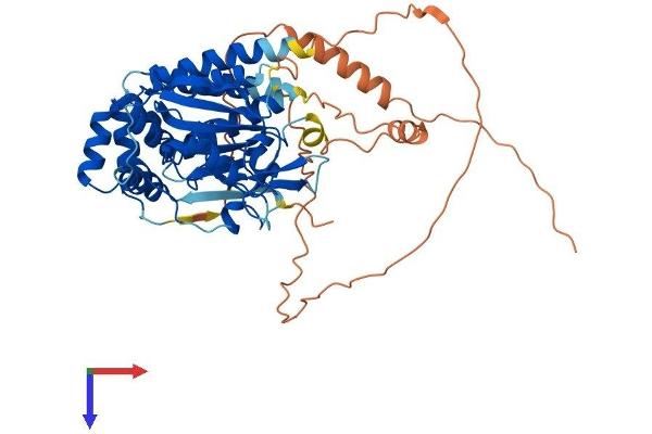 AMZ1 Protein (AA 1-502) (His tag)