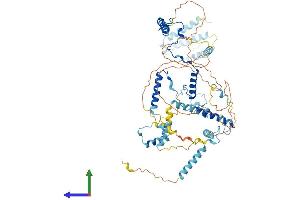 Protein Structure (PS) image for M-Phase phosphoprotein 10 (U3 Small Nucleolar Ribonucleoprotein) (MPHOSPH10) (AA 1-681) protein (His tag) (ABIN7558480)