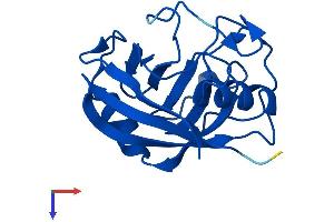 AlphaFold protein structure predicition of Human Recombinant PPIAL4G Protein, UniprotID P0DN37