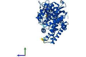 AlphaFold protein structure predicition of Mouse Recombinant Cyp2c37 Protein, UniprotID P56654