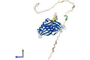 Protein Structure (PS) image for Double C2-Like Domains, beta (DOC2B) (AA 1-412) protein (His tag) (ABIN7547186)