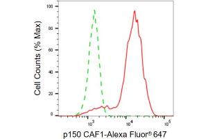 Flow cytometric analysis of p150 CAF1 expression in HepG2 cells using p150 CAF1 antibody (ABIN7798059), 1:2,000). (Rekombinanter CHAF1A Antikörper)