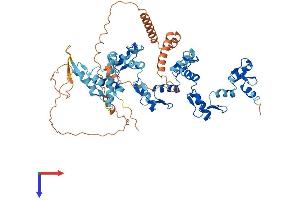AlphaFold protein structure predicition of Human Recombinant ZNF300 Protein, UniprotID Q96RE9