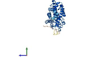 Protein Structure (PS) image for Nuclear Receptor Subfamily 1, Group I, Member 3 (NR1I3) (AA 1-358) protein (His tag) (ABIN7562346)