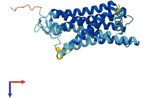 AlphaFold protein structure predicition of Human Recombinant OR2V1 Protein, UniprotID Q8NHB1 (OR2V1 Protein (AA 1-315) (His tag))