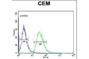 TSN7 Antibody (Center) (ABIN651068 and ABIN2840057) flow cytometric analysis of CEM cells (right histogram) comred to a negative control cell (left histogram). (Tetraspanin 7 Antikörper  (AA 98-124))