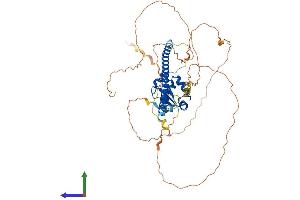 Protein Structure (PS) image for Heat Shock Transcription Factor 4 (HSF4) (AA 1-492) protein (His tag) (ABIN7548449)