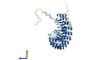 Protein Structure (PS) image for F-Box and Leucine-Rich Repeat Protein 20 (FBXL20) (AA 1-436) protein (His tag) (ABIN7560804)