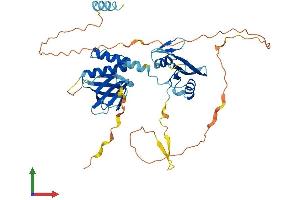 Protein Structure (PS) image for Signal Transducing Adaptor Family Member 2 (STAP2) (AA 1-403) protein (His tag) (ABIN7546368)