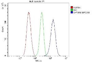 Flow Cytometry analysis of U87 cells using anti-Gpnmb antibody (ABIN7600217). (Osteoactivin Antikörper  (AA 164-564))