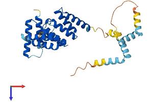 SGTB Protein (AA 1-304) (His tag)