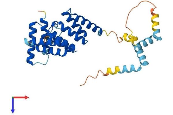 SGTB Protein (AA 1-304) (His tag)
