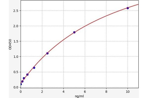 BACE1 ELISA Kit