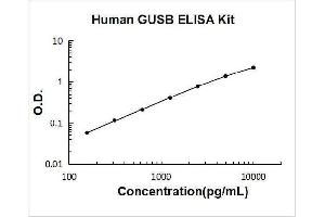 Glucuronidase, beta (GUSB) ELISA Kit