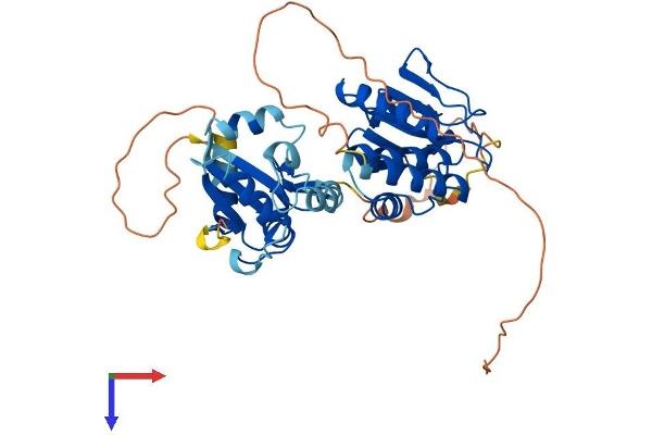 DUSP4 Protein (AA 1-398) (His tag)