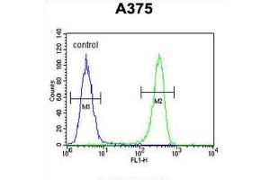 Flow Cytometry (FACS) image for anti-Desmocollin 1 (DSC1) antibody (ABIN3003859) (Desmocollin 1 Antikörper)