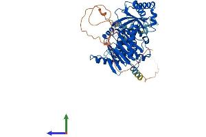 Protein Structure (PS) image for MON1 Homolog A (MON1A) (AA 1-556) protein (His tag) (ABIN7558047)