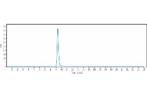 The purity of Anti-AXL / UFO Reference Antibody (tilvestamab) is more than 95 % , determined by SEC-HPLC. (Rekombinanter AXL (Tilvestamab Biosimilar) Antikörper)