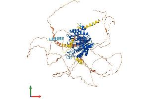 Protein Structure (PS) image for Histone Deacetylase 7 (HDAC7) (AA 1-938) protein (His tag) (ABIN7564505)