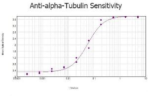 ELISA results of purified Rabbit anti-alpha-Tubulin Antibody tested against BSA-conjugated peptide of immunizing peptide.