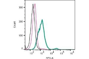 Cell surface detection of CD9 by direct flow cytometry in live intact human MDA- breast adenocarcinoma cell line: + Rabbit IgG Isotype Control-FITC (ABIN7582044). (CD9 Antikörper  (Extracellular) (FITC))