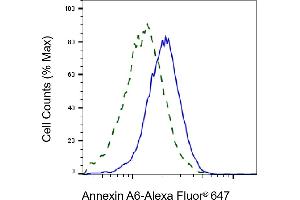 Validation of Annexin A6 knockdown using flow cytometry. (Rekombinanter ANXA6 Antikörper)