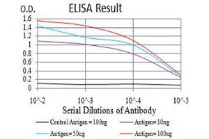 ELISA image for anti-DEAD (Asp-Glu-Ala-Asp) Box Polypeptide 5 (DDX5) (AA 475-614) antibody (ABIN5542510)