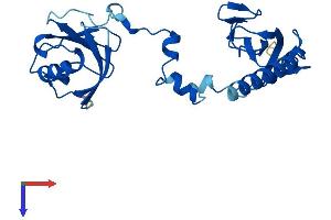 TBCB Protein (AA 1-244) (His tag)