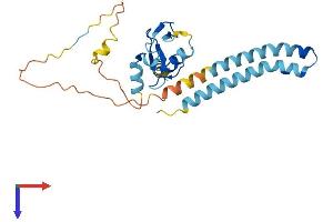 RNF182 Protein (AA 1-247) (His tag)
