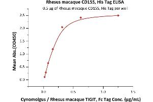 ELISA image for Poliovirus Receptor (PVR) (AA 28-343) (Active) protein (His tag) (ABIN6388272)