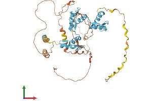 Protein Structure (PS) image for FEZ Family Zinc Finger 1 (FEZF1) (AA 1-475) protein (His tag) (ABIN7547722)