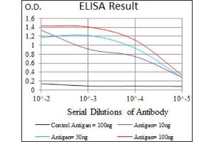 ELISA image for anti-Myocyte Enhancer Factor 2C (MEF2C) (AA 1-125) antibody (ABIN1846463) (MEF2C Antikörper  (AA 1-125))