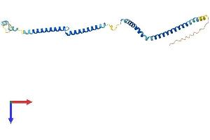 HAUS2 Protein (AA 1-235) (His tag)