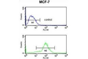 Flow Cytometry (FACS) image for anti-MOB Kinase Activator 2 (MOB2) antibody (ABIN3004141) (MOB2 Antikörper)