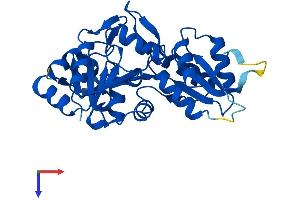 PDXP Protein (AA 1-296) (His tag)