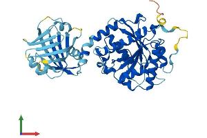 Protein Structure (PS) image for Interferon-Induced Protein 44-Like (IFI44L) (AA 1-447) protein (His tag) (ABIN7564934)