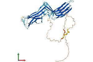 Protein Structure (PS) image for Thioredoxin Interacting Protein (TXNIP) (AA 1-397) protein (His tag) (ABIN7564332)